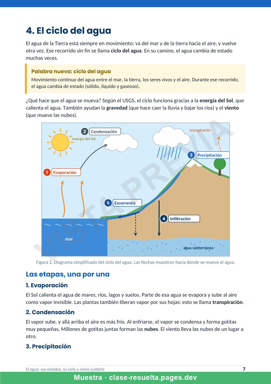 Vista previa página 2: El agua: sus estados, su ciclo y cómo cuidarla